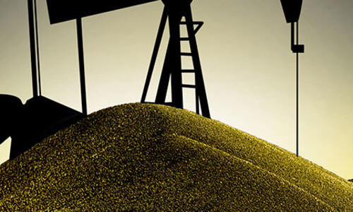 COLETTE CL - Eļļas standarts Clearfield segmentā.