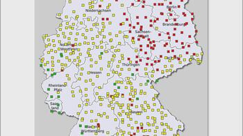 Aktuelle Prognose zu Rapsschädlingen und -wachstumsreglern (KW11) 