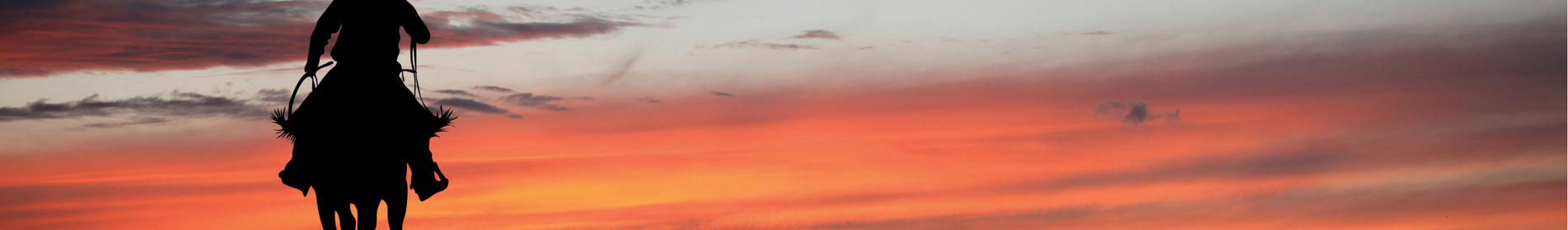 TEXAS - 