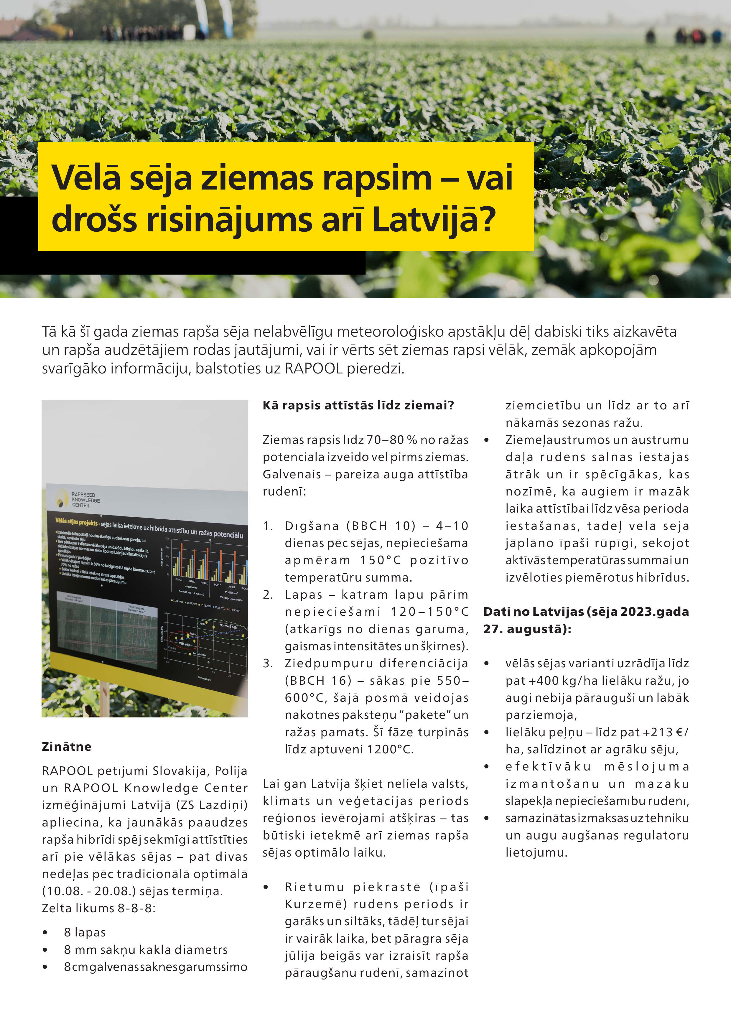 Vēlā sēja ziemas rapsim – vai drošs risinājums arī Latvijā?