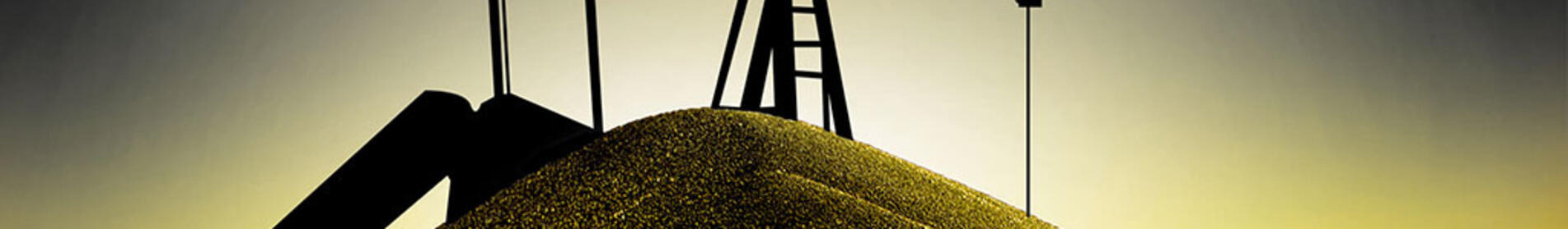 COLETTE CL - Eļļas standarts Clearfield segmentā.