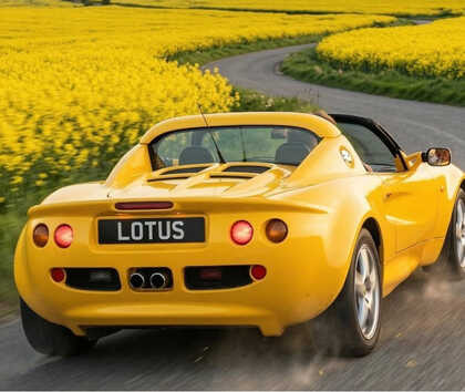 LOTUS