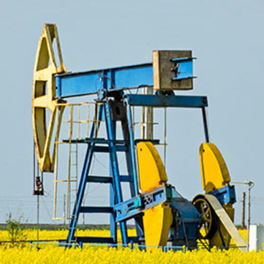 LAGOON - Augstākais eļļas saturs maksimālai peļņai.