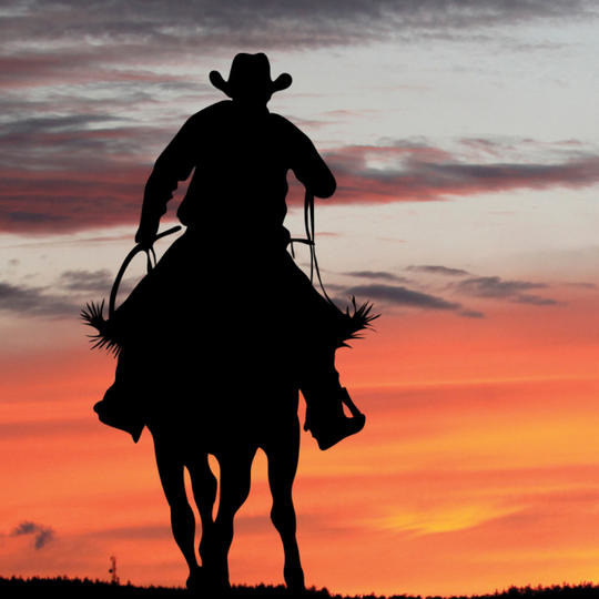 TEXAS - 